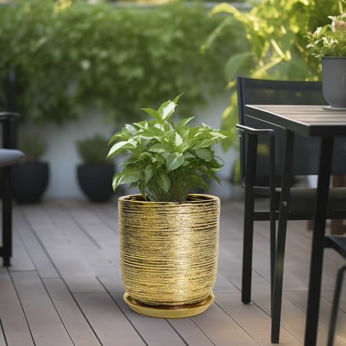 Ceramic Flower Pot for Indoor Plants