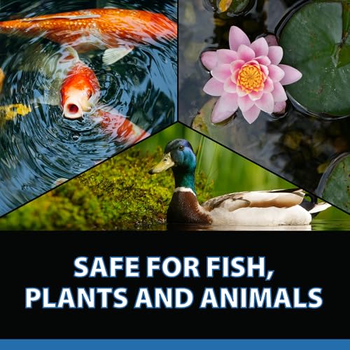 Barley Extract Pond Treatment