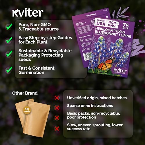 75 Texas Bluebonnet Heirloom Flower Seeds for Planting