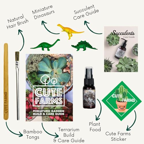 Terrarium Starter Kit