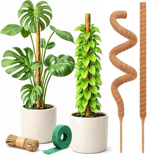 30" Moss Pole Monstera Plant Support (2-Pack (30 in))