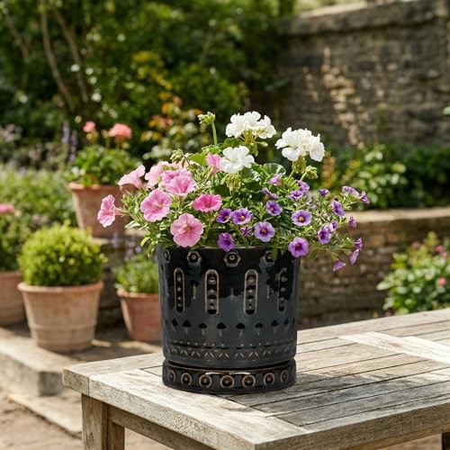 6 Inch Plant Pot (6 Inch / Black - 2)