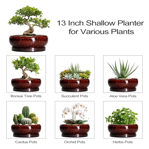Bonsai Pots with Drainage Hole (13 Inch / Leopard Red)