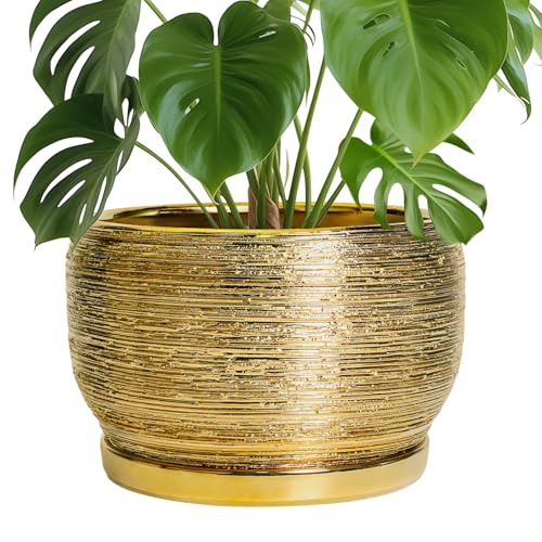 Ceramic Planter for Indoor Plants