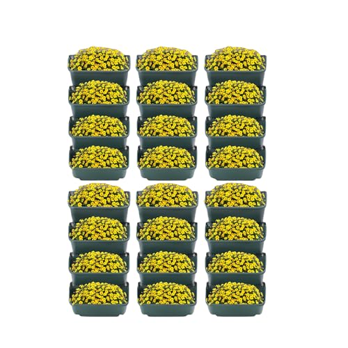 24 Pot Vertical Wall Planter