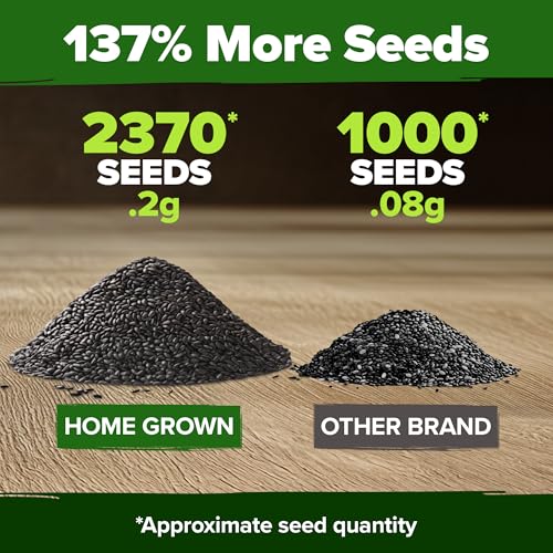 Peppermint Seeds