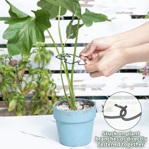 4.13x2.95in Monstera Plant Stem Support (Black / 4.13IN*2.95IN)