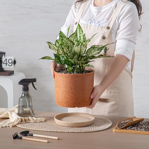8 Inch Ceramic Plant Pot with Drainage Hole & Separate Saucer (Terracotta / 8 inch)