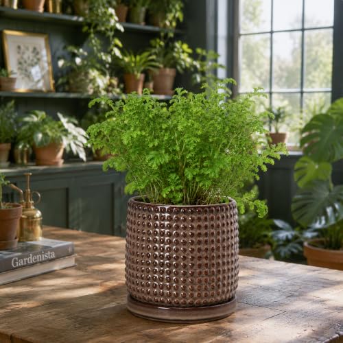 Beaded Ceramic Pot with Saucer (5.8 Inch / Stone Taupe)