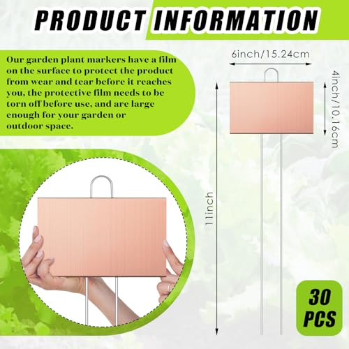 30 Pcs Large Plant Marker (4'' X 6'' with 11'' Stake / Rose Gold)