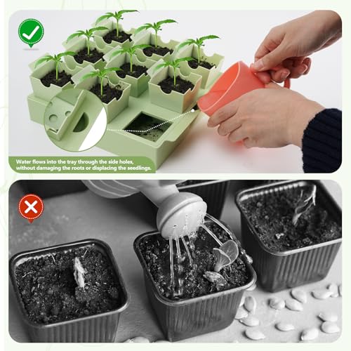 2 Pack Seed Starter Trays