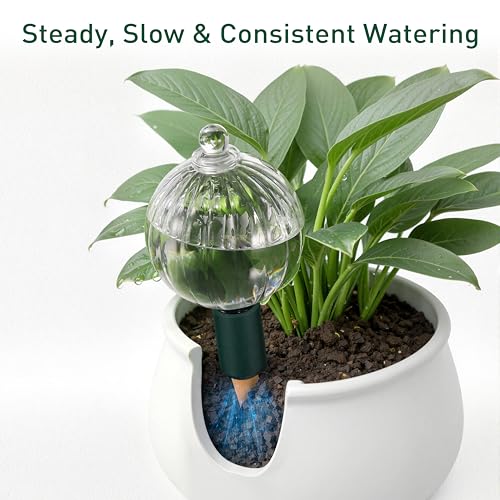 12 oz Up to 1 Week Glass Plant Watering Globe with Terracotta Spikes (12 oz – 1 Pack)