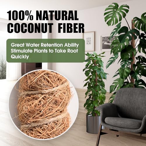 3 Pack Moss Pole 63 Inch Monstera Plant Sticks Support Tall Long Stakes (3 Pack)