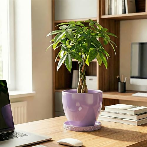 5.6 Inch Flower Pot Saucers (5.6 Inch / Purple)