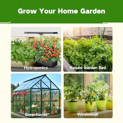 Lush&Dew Kitchen Garden Seed Bank (Kitchen Garden)
