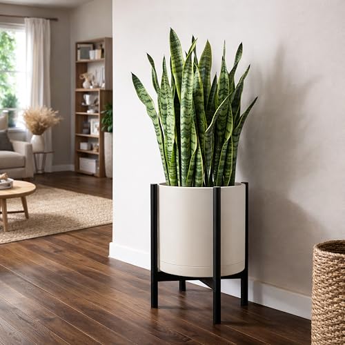 Plastic Pot with Ebony Wood Stand (Oatmeal Pot + Ebony Stand / 16 Inch)