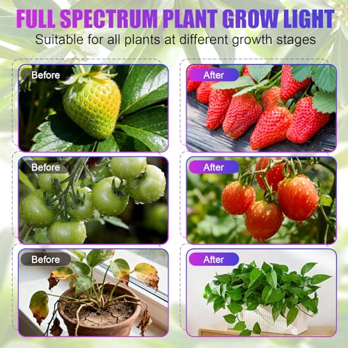 Indoor Clip on Plant Growth Light (2 Head Big)