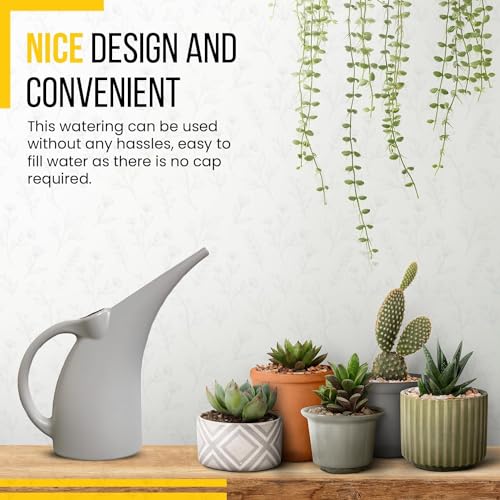 2 Pack Watering Can 1 (Gray / 2 Pack)