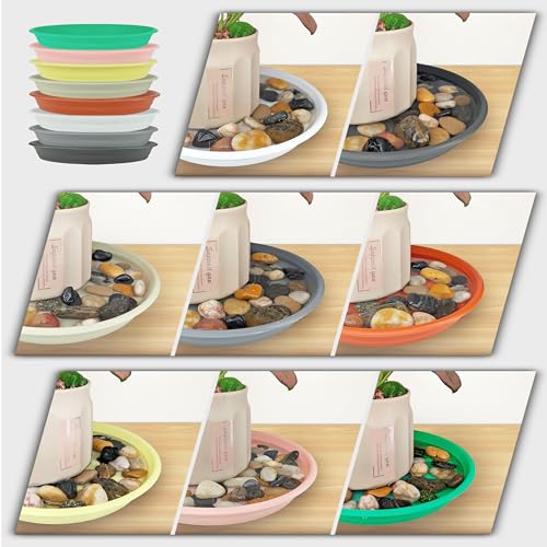12Pcs Colourful Plant Saucer (12 Count)