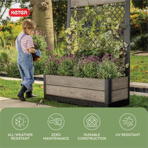 Outdoor Planter Box with Privacy Screen and Trellis (Ashwood Trellis)