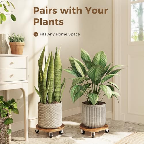 Plant Caddy 12 Inch Wood Dolly with Drainage Tray 2 Pack (Brown / 12inch-Round-2pack-Tray)