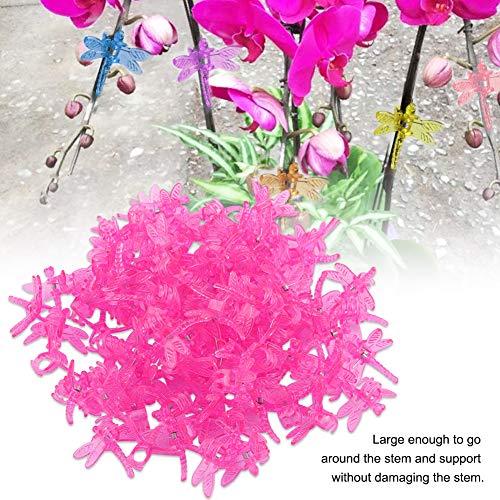 100Pcs Plant Orchid Support (Rose Red)