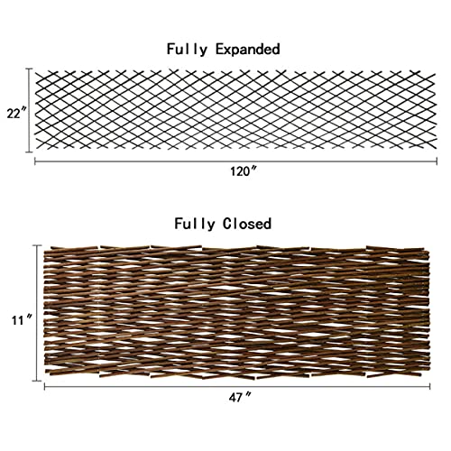 Expandable Willow Trellis for Climbing Plants Outdoors