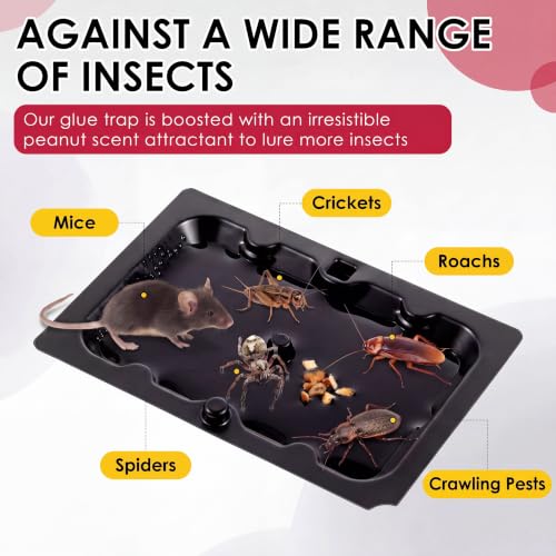 72 Pack Mouse Glue Traps (Black)