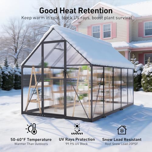 6x10FT Greenhouse with Hygrometer (6x10 FT with thermometers)