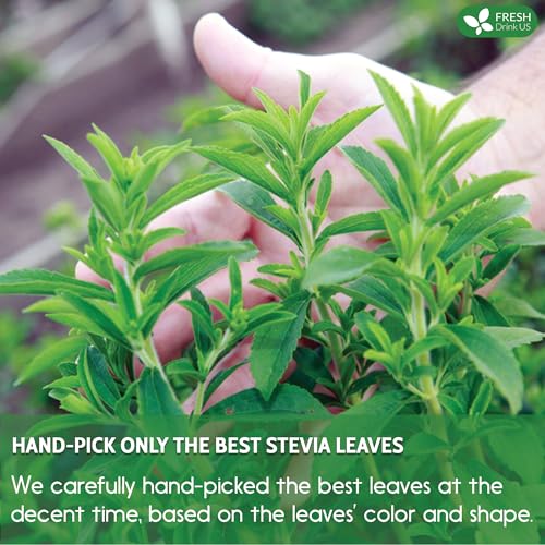 Premium 2.1 oz Natural Stevia Leaves (2.1 Ounce (Pack of 1))