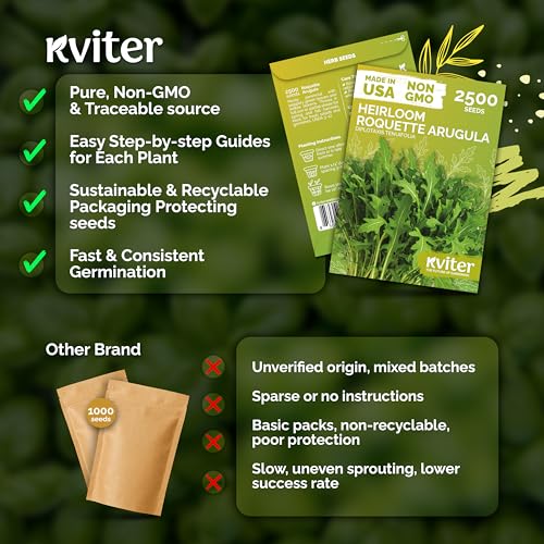 2 500 Roquette Arugula Heirloom Herb Seeds