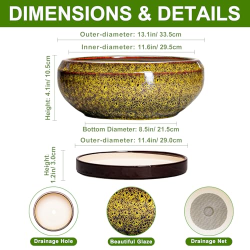 Succulent Pots Large (13 Inch / Leopard Yellow)