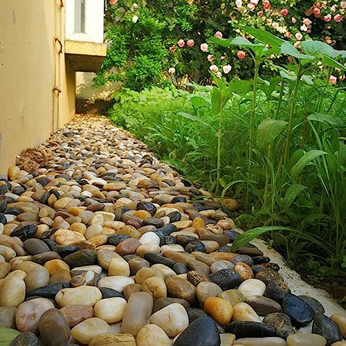 40lbs Large River Rocks Decorative Pebbles