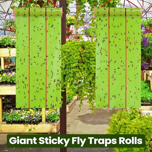 20 Pcs Giant Flypaper Fly Traps (Fluorescent Green)