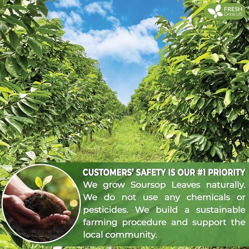 Premium 15 Bags Soursop Graviola Leaf Tea (15 Tea Bags)