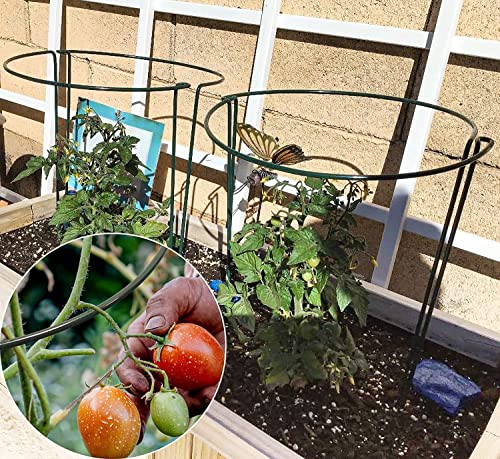 10 Pack Plant Support Stakes for Peony (10 Count)