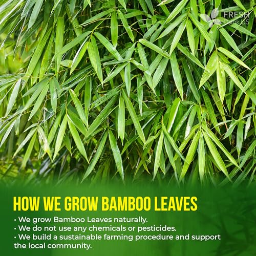 Premium Bamboo Leaf Tea (40 Tea Bags)