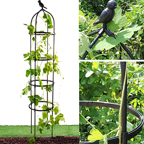 Garden Trellis for Climbing Plants (Black)