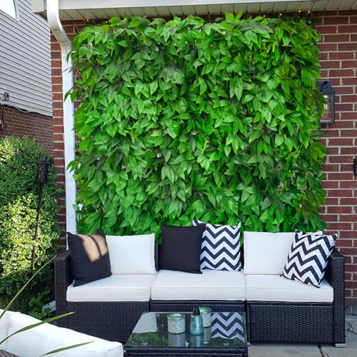 Expandable Fence Privacy Screen for Balcony Patio Outdoor (Willow Leaf)