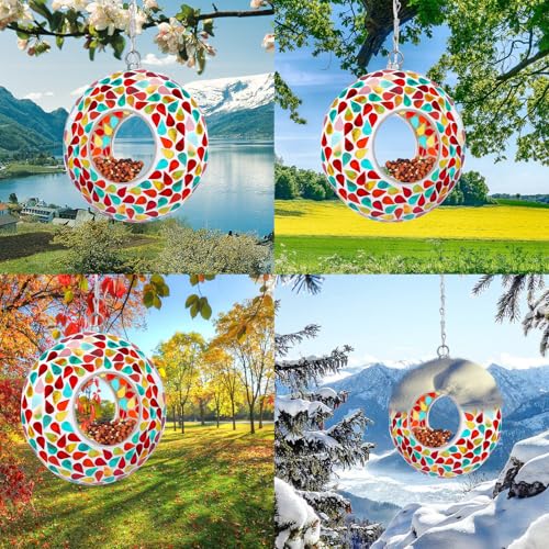 Solar Bird Feeder (Multi)