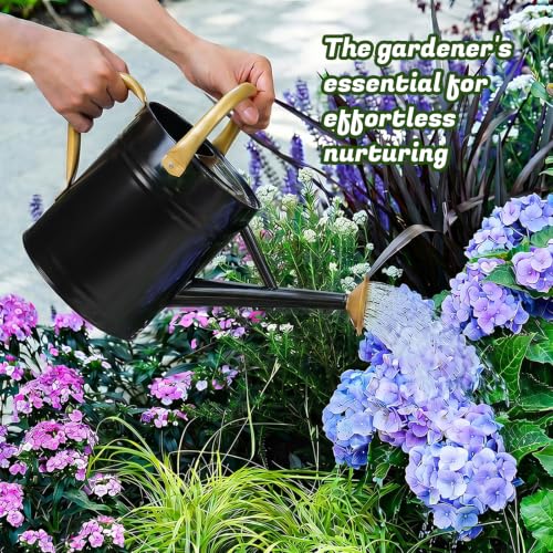 1 Gallon Watering Can for Plants (Black-gold)