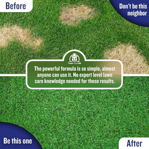 K9 Correcter Dog Urine Neutralizer for Lawns (32 oz)