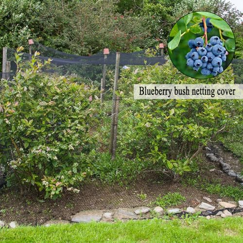 Bird Netting 10x30 FT