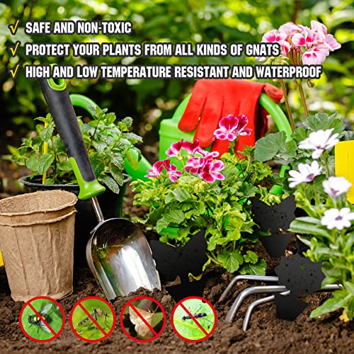 Sticky Traps Gnat Killer Fruit Fly Traps Non (96 Count)