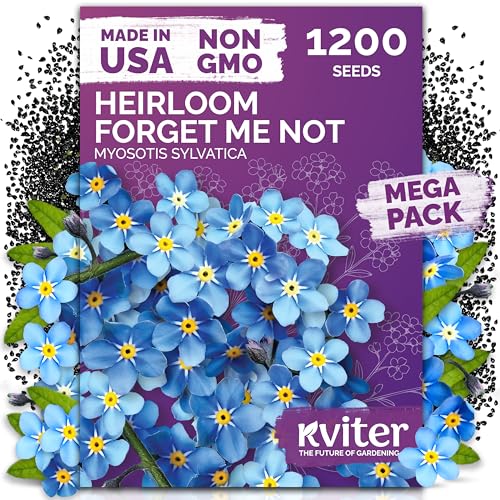 1200 Forget Me Not Heirloom Flower Seeds for Planting