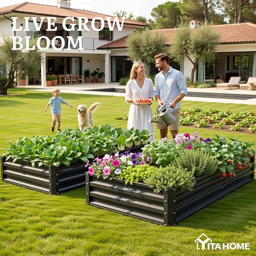 6x3x1ft 2pcs Large Raised Garden Bed Kit (Black / 6x3x1ft 2pcs)