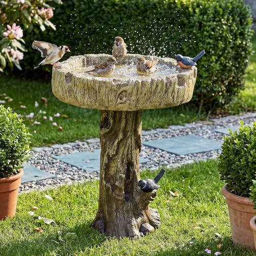 Bird Baths for Outdoor (Woodland with bird)