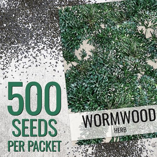 Wormwood Seeds to Plant Heirloom Non (5 Packs)