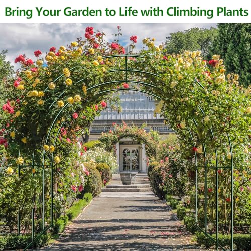 Large Garden Support Arch Frame for Climbing Plants (9.85 x 7.05 x 7.22 ft)