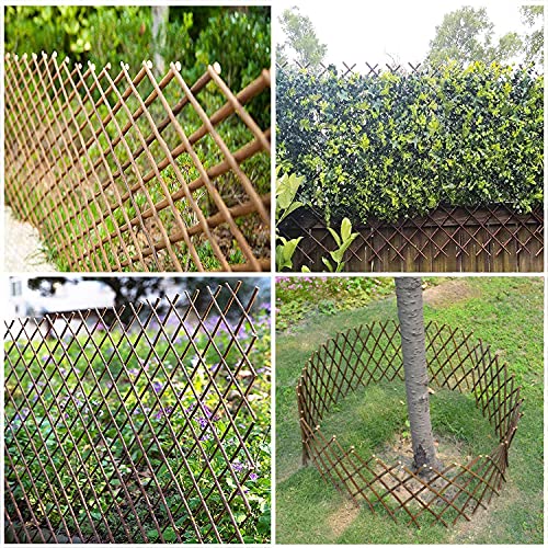 Expandable Willow Trellis for Climbing Plants Outdoors